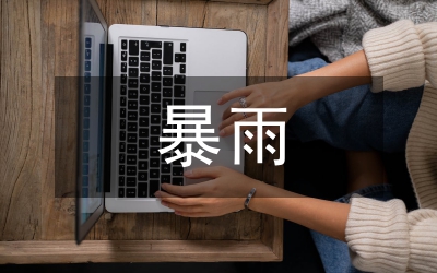 片區(qū)暴雨強(qiáng)度及雨型分析