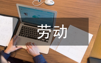 勞動實(shí)踐風(fēng)險預(yù)案