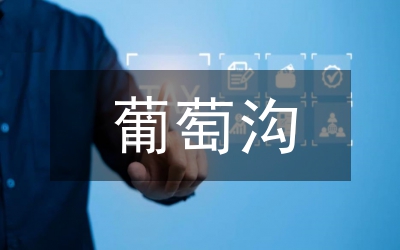 葡萄栽培