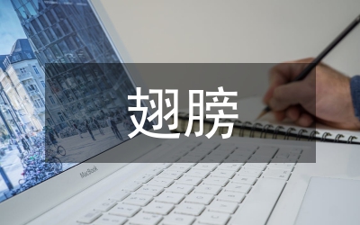 我的翅膀作文